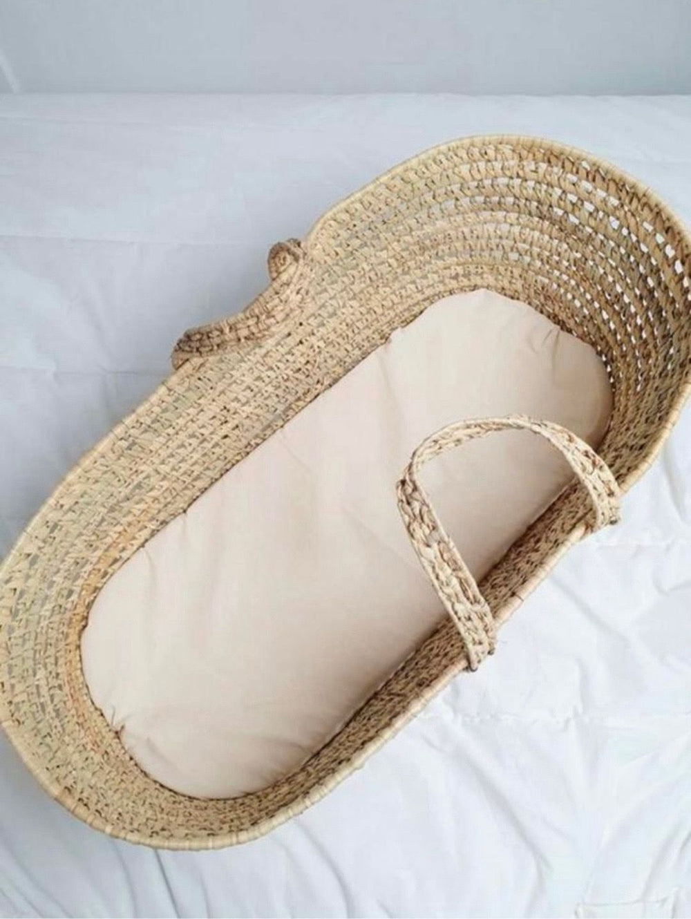 Mozeswiegje palmblad